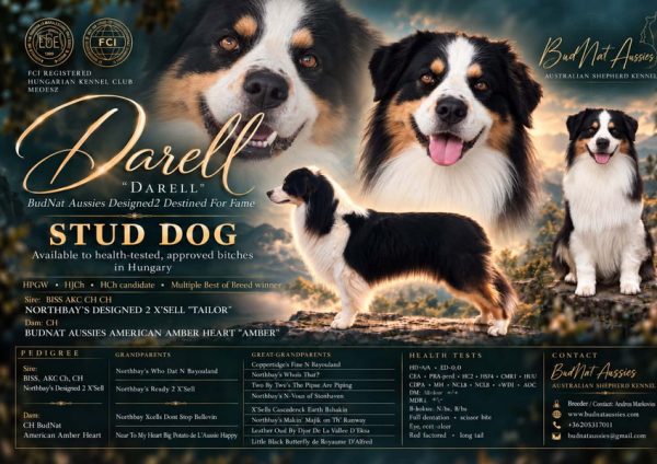 Darell_advert_100