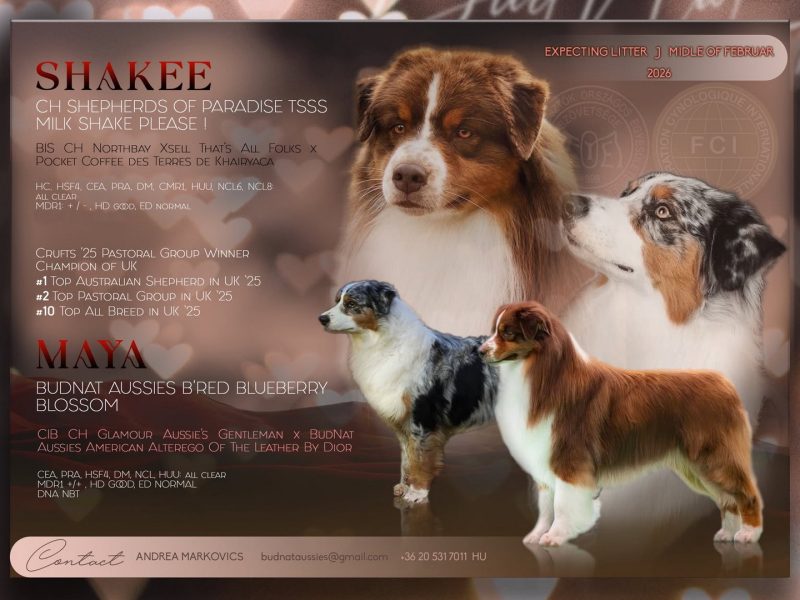 Shakee-Maya_cover_100