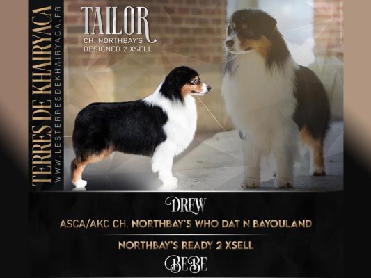 Tailor_advert